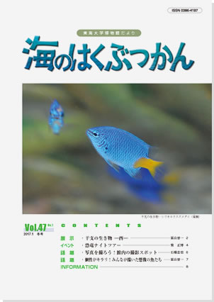 海のはくぶつかん